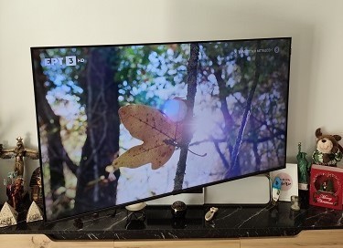 Επιτοίχια εγκατάσταση TCL 55 με βάση διπλού βραχίονα Επιτοίχια εγκατάσταση TCL 55 με βάση διπλού βραχίονα